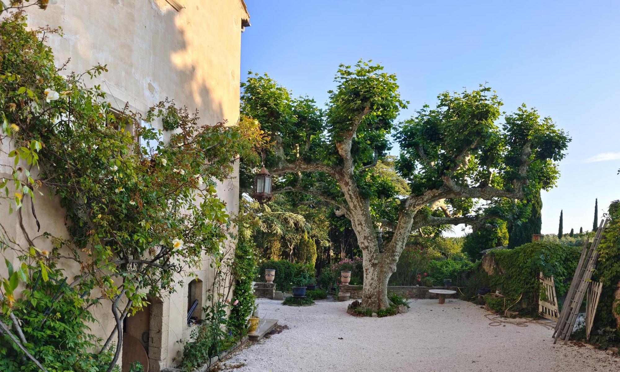 Rue Du Chateau A Cabrieres D'Avignon Bed & Breakfast Exterior foto